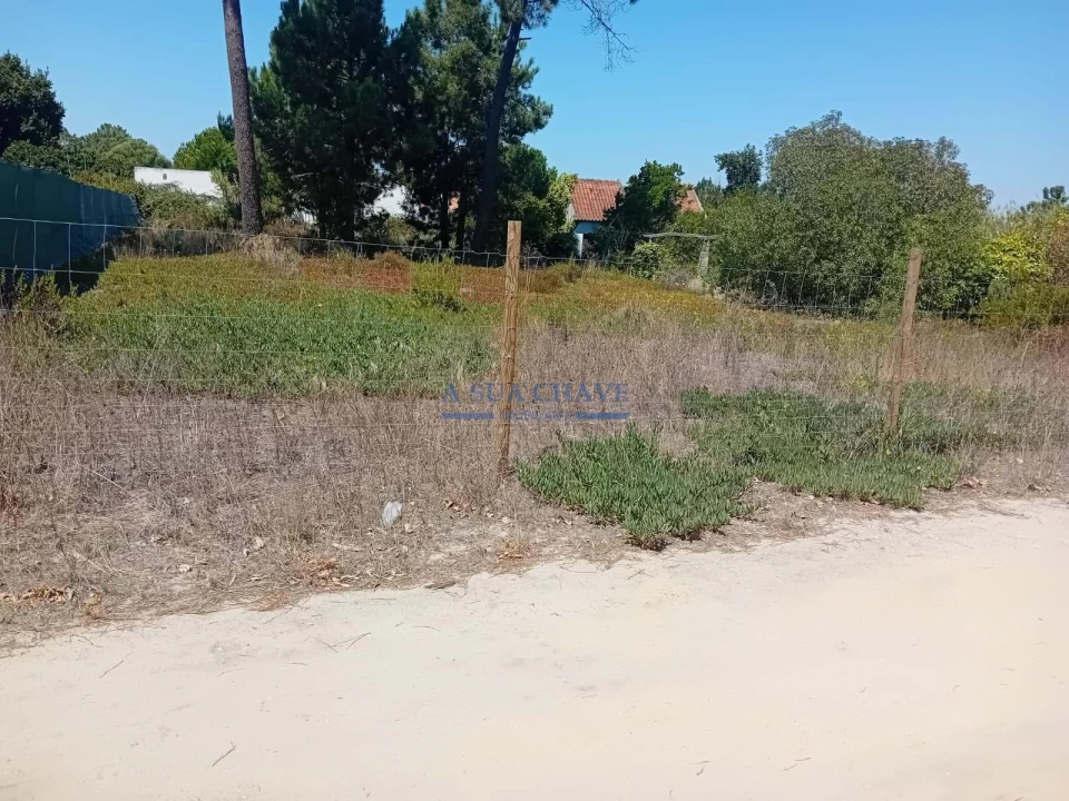 Terreno para Venda em Fernao Ferro Foto 6