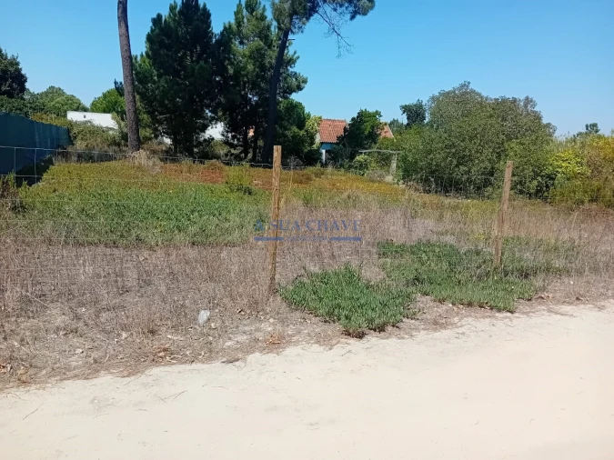 Terreno para Venda em Fernao Ferro Foto 7