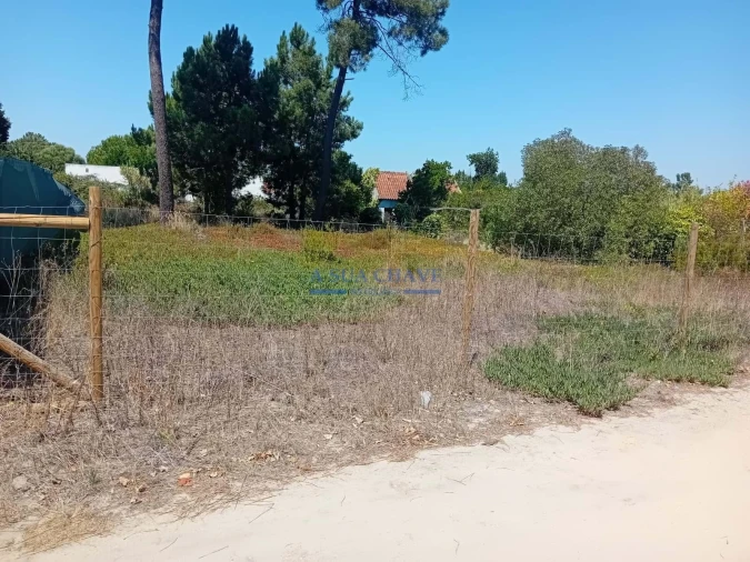 Terreno para Venda em Fernao Ferro Foto 5