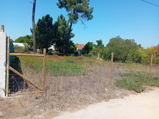 Terreno para Venda em Fernao Ferro Foto 3