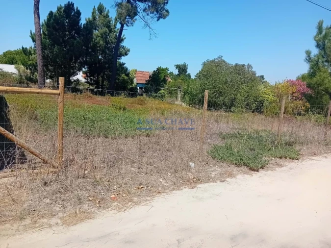 Terreno para Venda em Fernao Ferro Foto 4