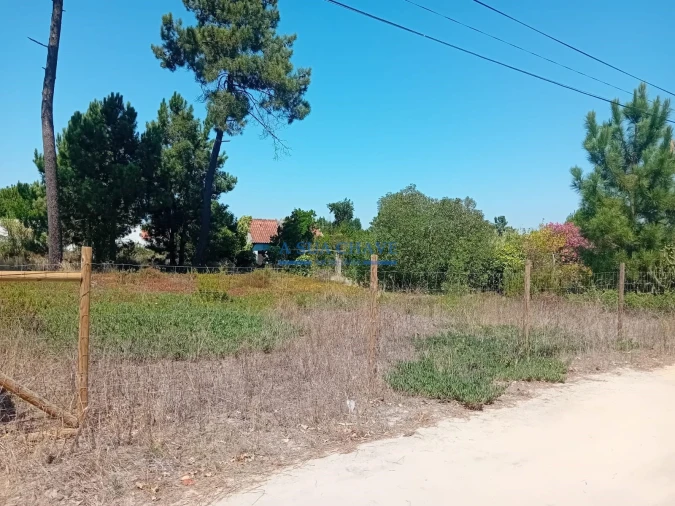 Terreno para Venda em Fernao Ferro Foto 2