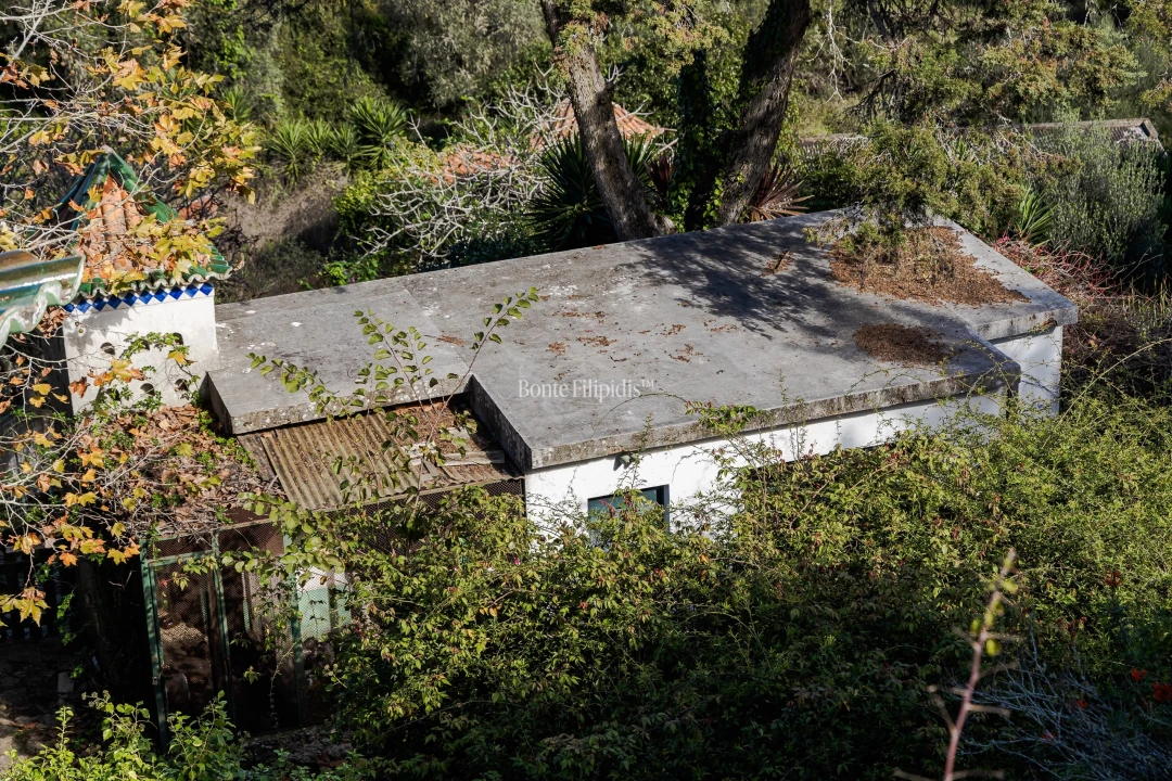 Quinta T5 para Venda em Agualva e Mira-Sintra Foto 46