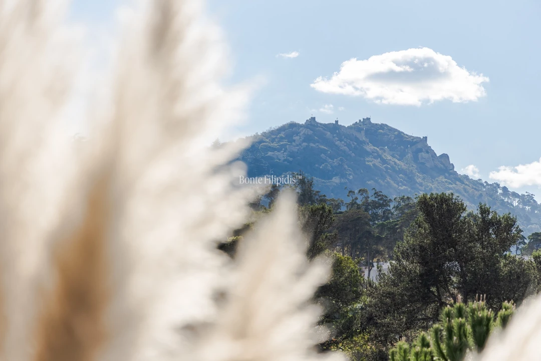 Quinta T5 para Venda em Agualva e Mira-Sintra Foto 28
