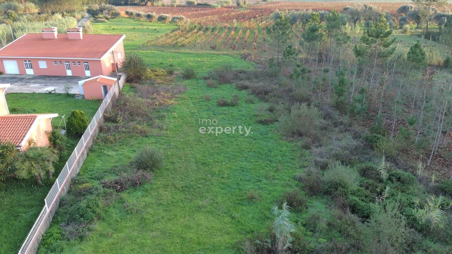 Terreno para Venda em São Lourenço do Bairro