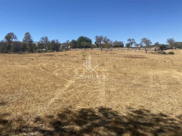 Terreno para Venda em Boliqueime
