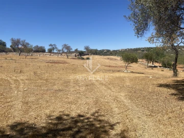 Terreno para Venda em Boliqueime