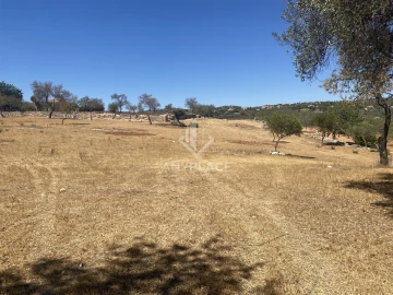 Terreno para Venda em Boliqueime