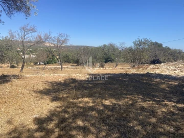 Terreno para Venda em Boliqueime
