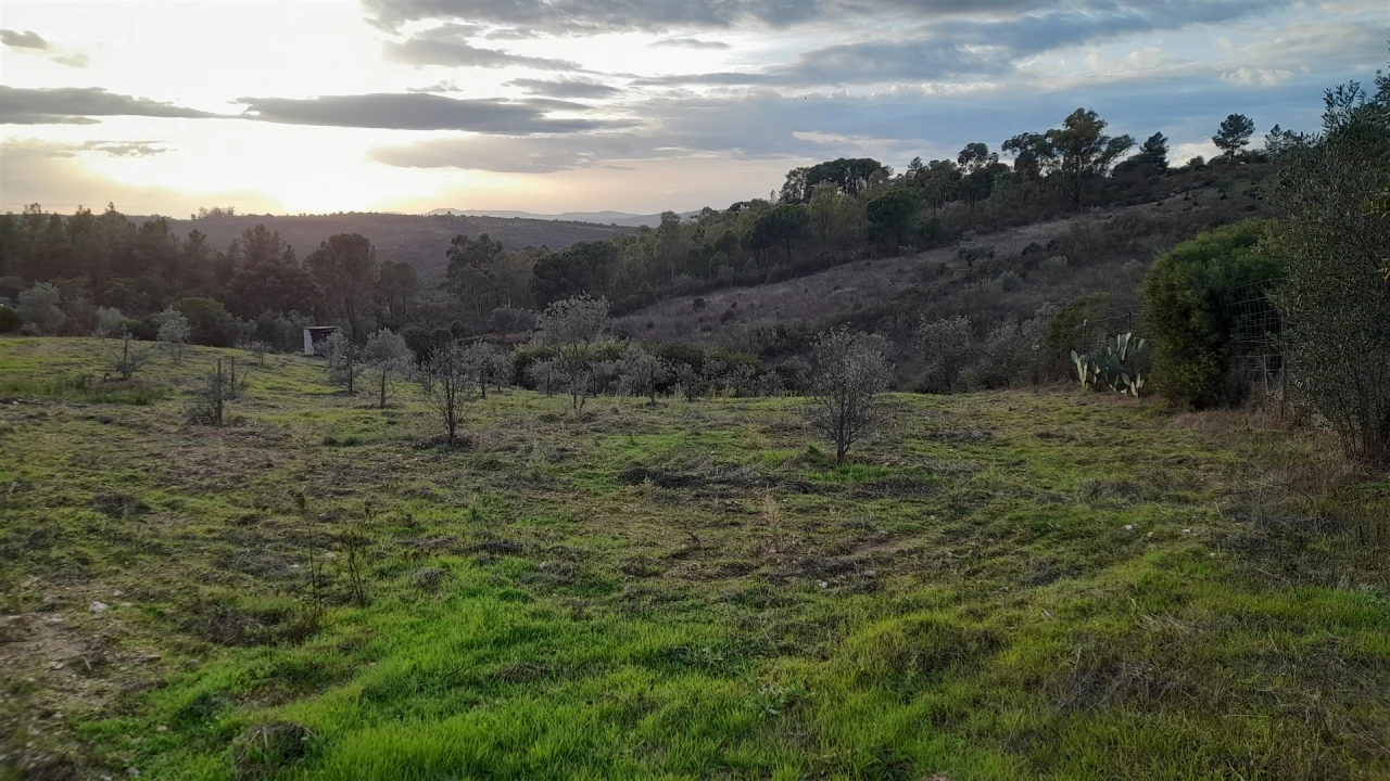 Moradia T4 para Venda em Castelo Branco Foto 3