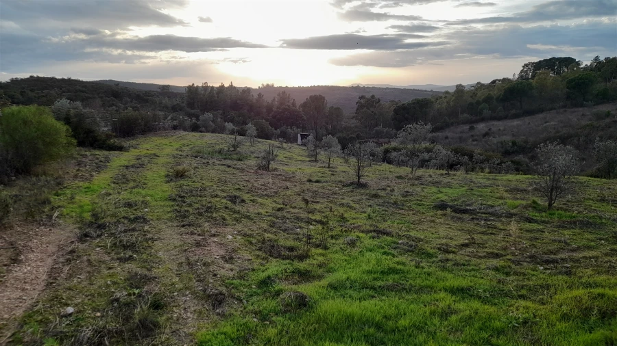 Moradia T4 para Venda em Castelo Branco Foto 4