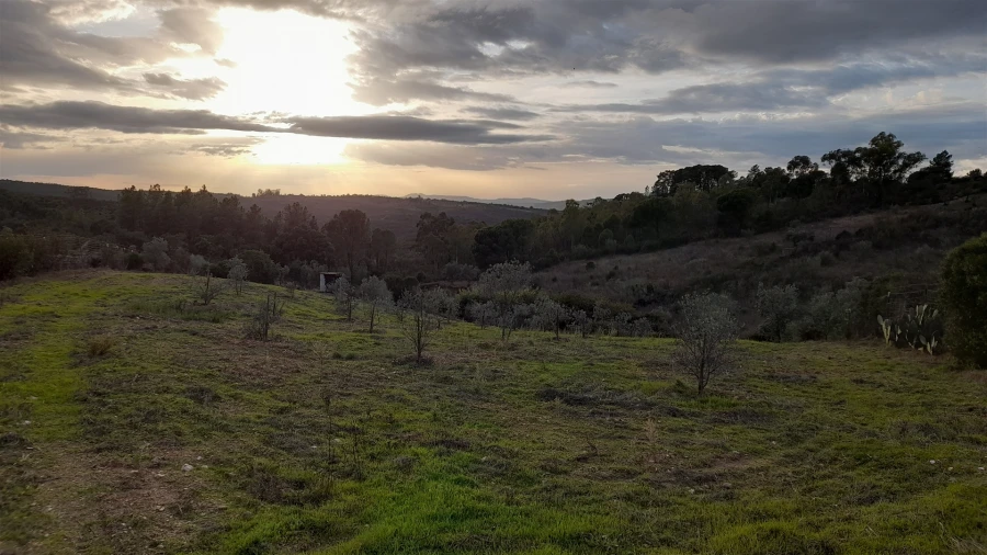 Moradia T4 para Venda em Castelo Branco Foto 5