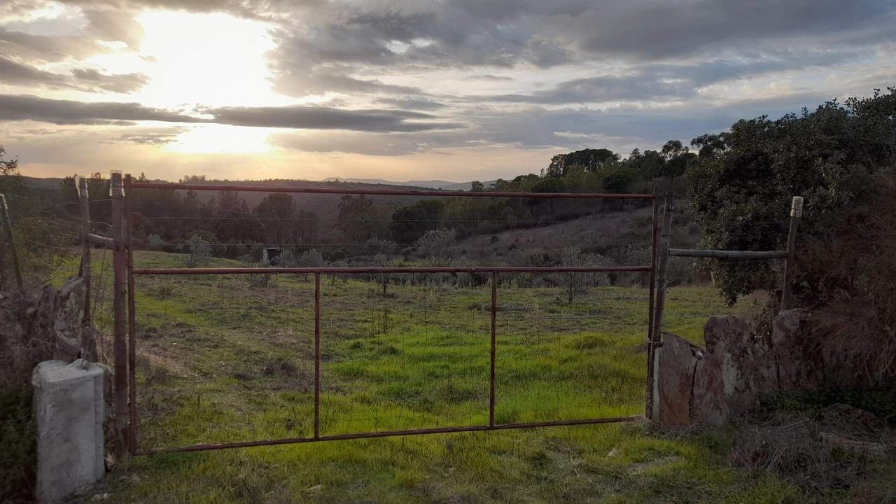 Moradia T4 para Venda em Castelo Branco Foto 2