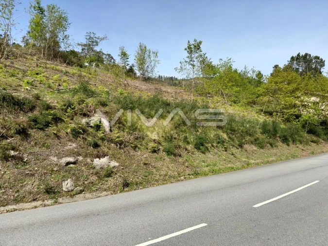 Terreno para Venda em Ponte Foto 8