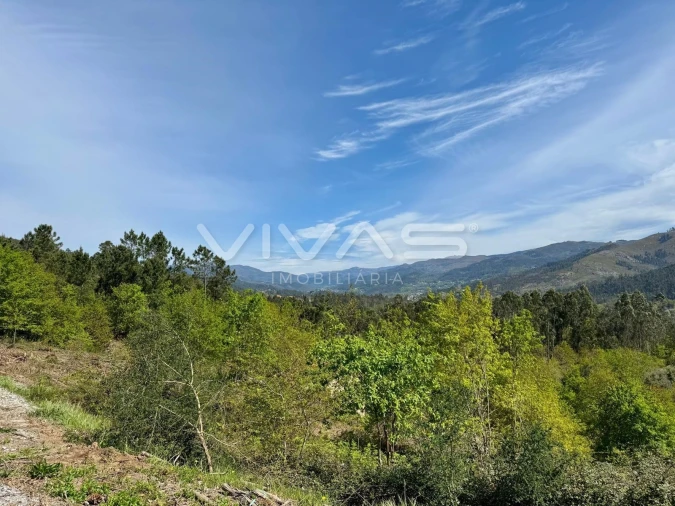 Terreno para Venda em Ponte Foto 7