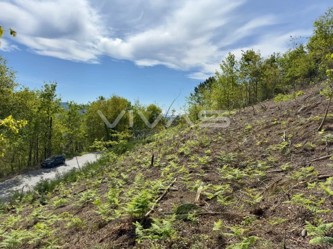Terreno para Venda em Ponte Foto 5