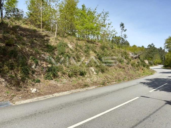 Terreno para Venda em Ponte Foto 2