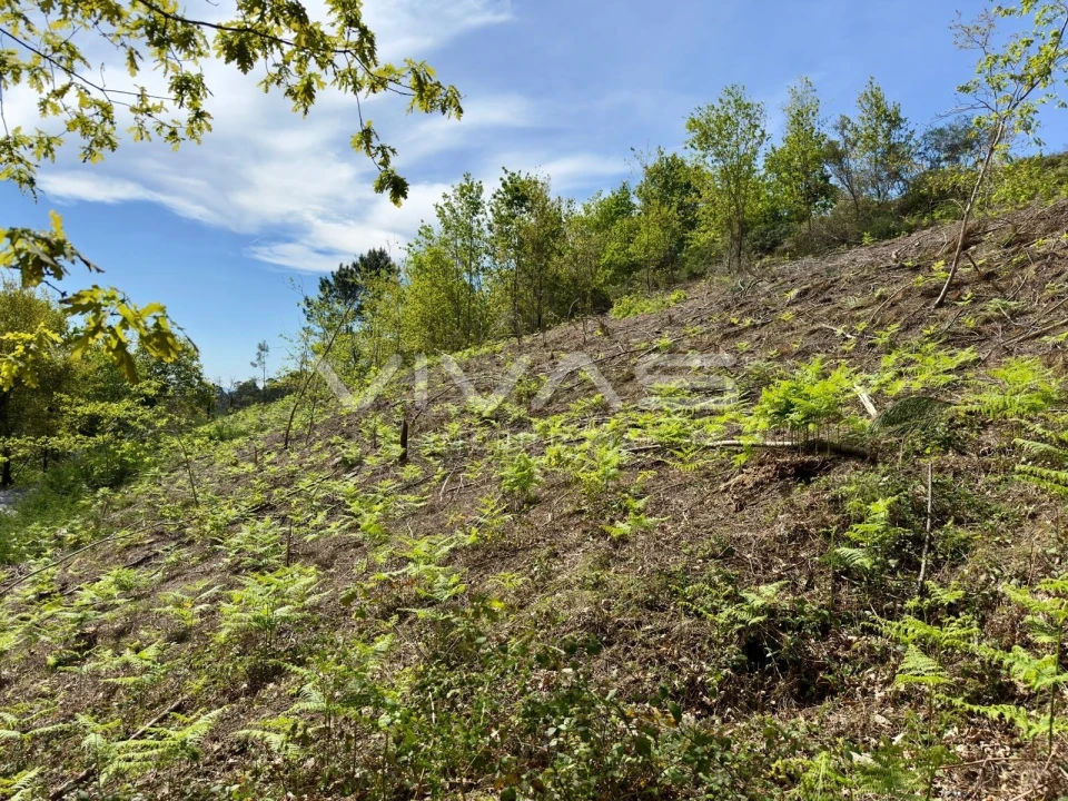 Terreno para Venda em Ponte Foto 4