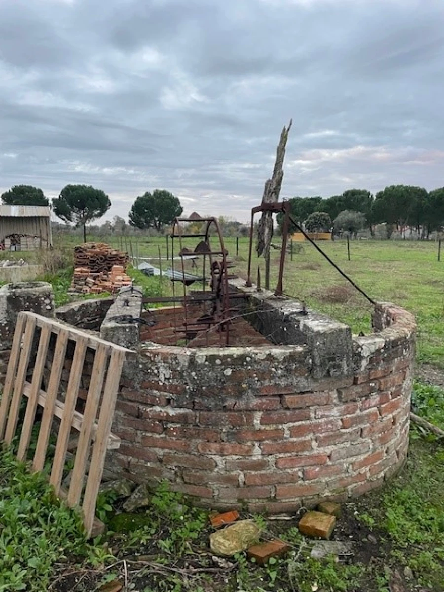 Quinta T2 para Venda em Ponte de Sor, Tramaga e Vale de Açor Foto 19