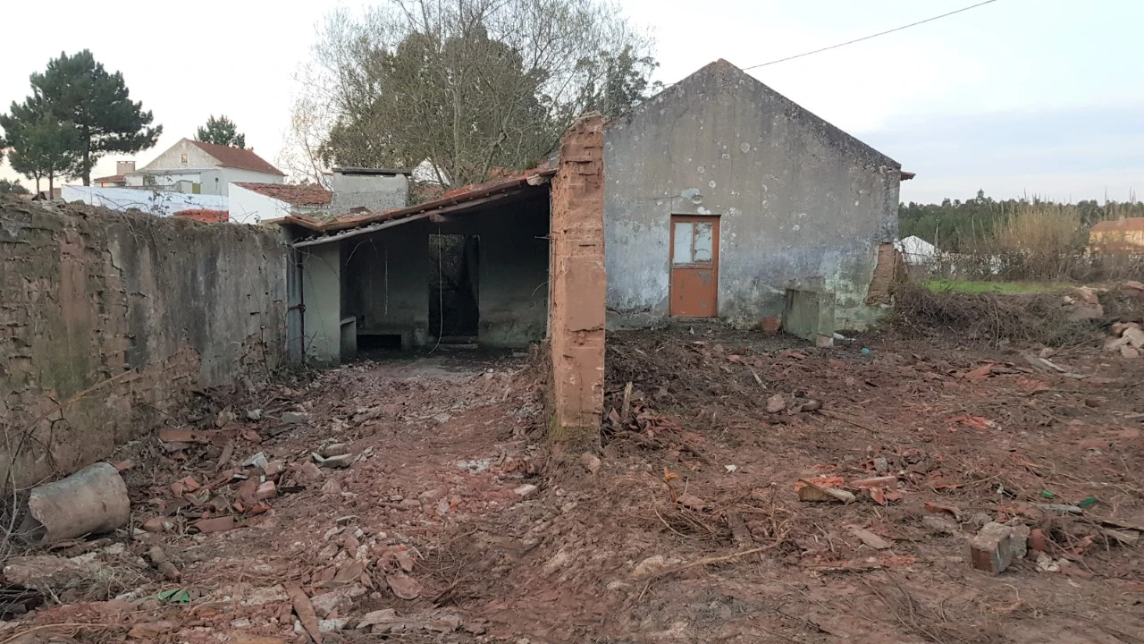 Terreno para Venda em Tornada e Salir do Porto Foto 1