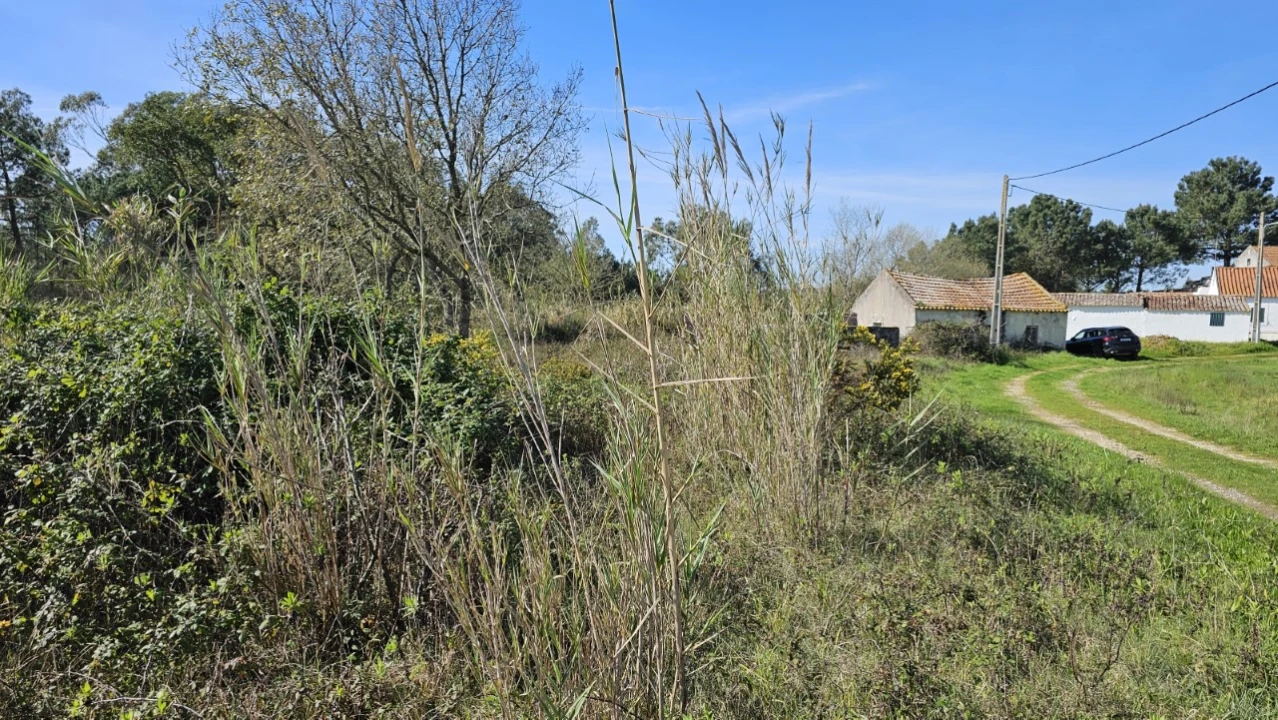Terreno para Venda em Tornada e Salir do Porto Foto 6