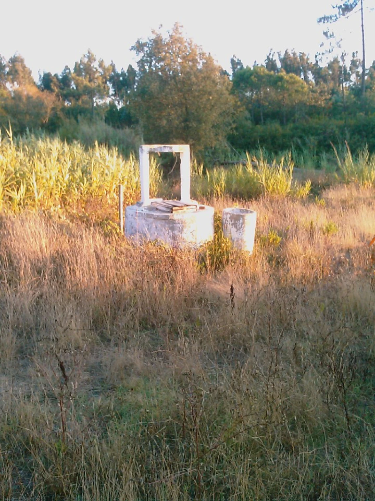 Terreno para Venda em Tornada e Salir do Porto Foto 7