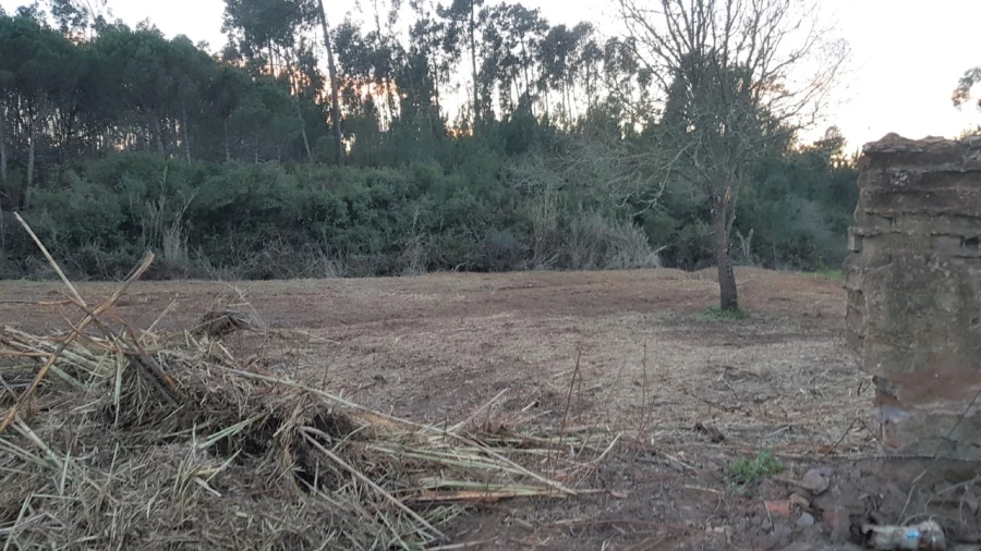 Terreno para Venda em Tornada e Salir do Porto Foto 3