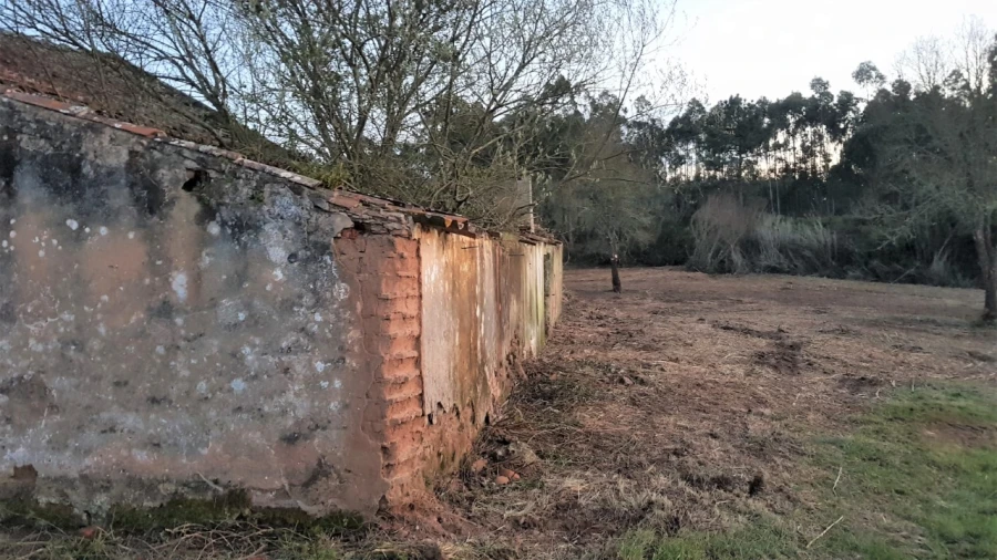 Terreno para Venda em Tornada e Salir do Porto Foto 5