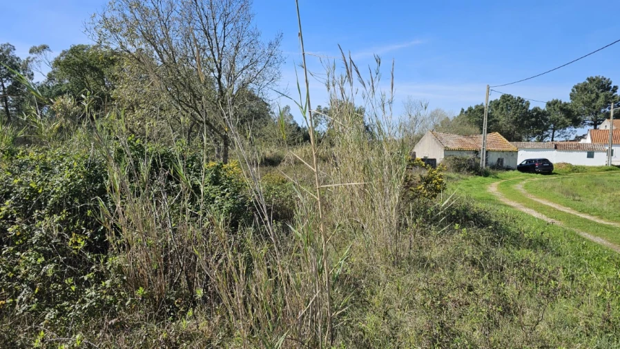 Terreno para Venda em Tornada e Salir do Porto Foto 6