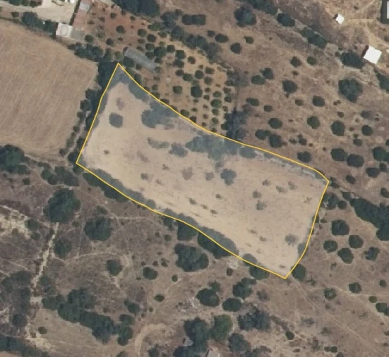 Terreno Agricola ou Rústico para Venda em Conceição e Estoi Planta 1