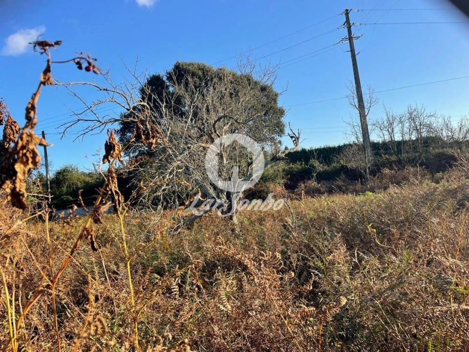 Terreno para Venda em Junqueira Foto 2