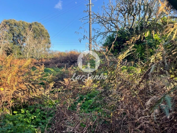Terreno para Venda em Junqueira Foto 1