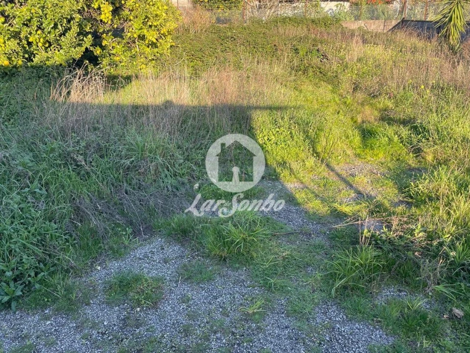 Terreno para Venda em Junqueira Foto 6