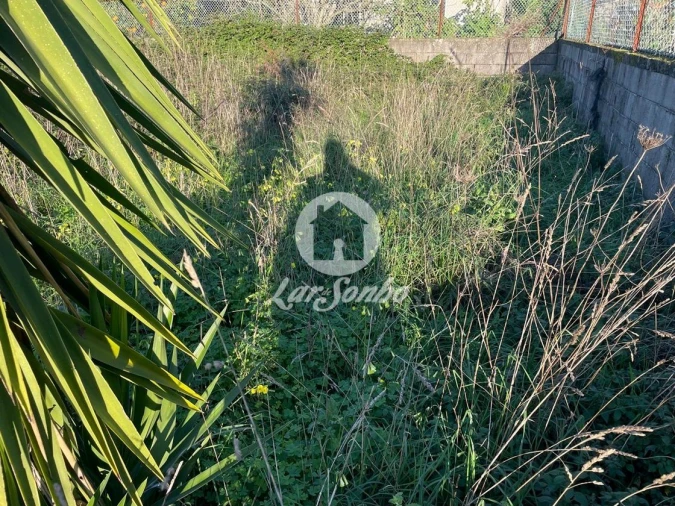 Terreno para Venda em Junqueira Foto 2