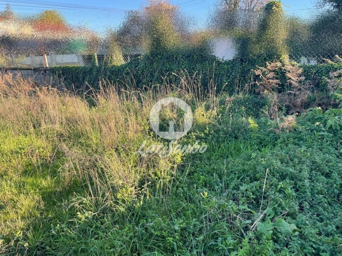 Terreno para Venda em Junqueira Foto 4