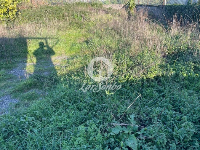 Terreno para Venda em Junqueira Foto 5