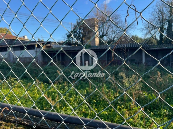 Terreno para Venda em Junqueira Foto 7