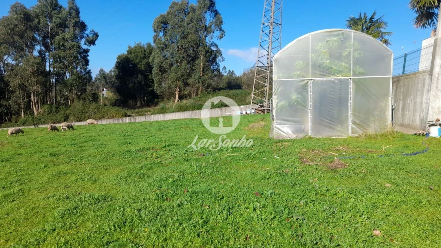 Terreno para Venda em Vila Nova de Famalicão e Calendário Foto 6