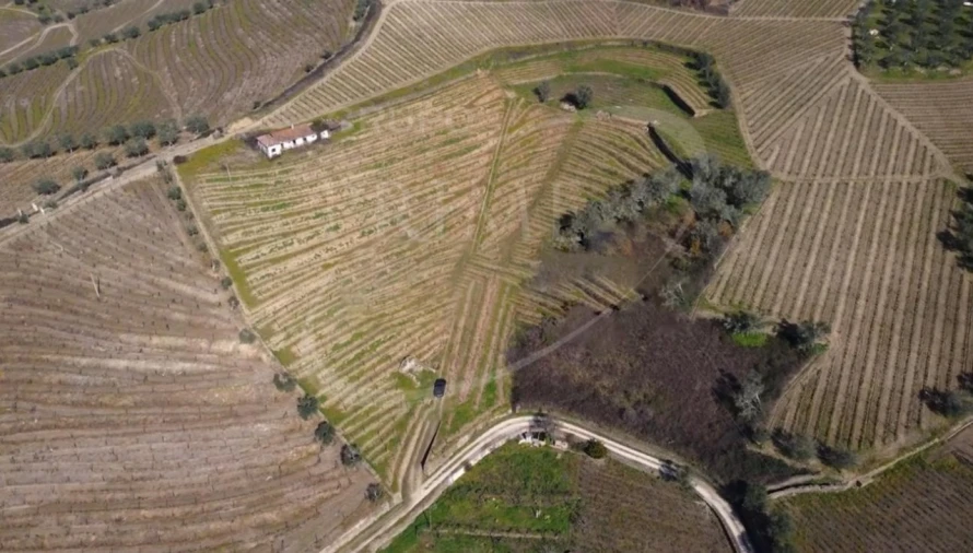 Terreno para Venda em Peso da Régua e Godim Foto 4