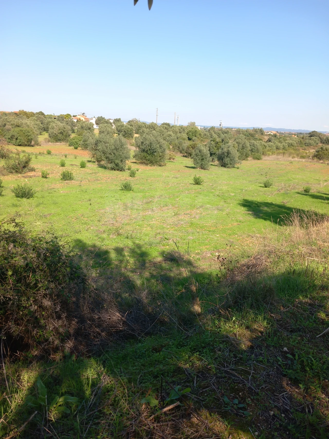 Terreno para Venda em Olaia e Paço Foto 5