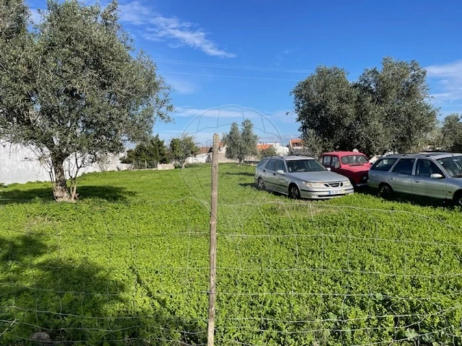 Moradia T3 para Venda em Almoster Foto 15