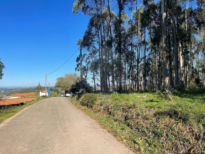 Terreno para Venda em Vidais Foto 1