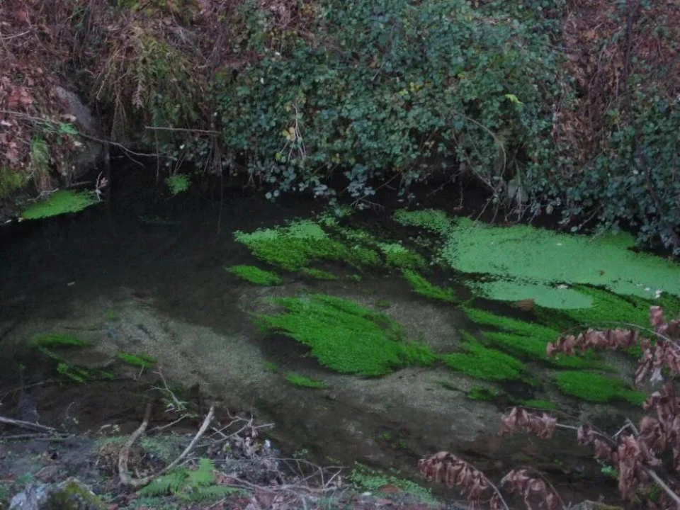Moradia para Venda em Caçarilhe e Infesta Foto 6