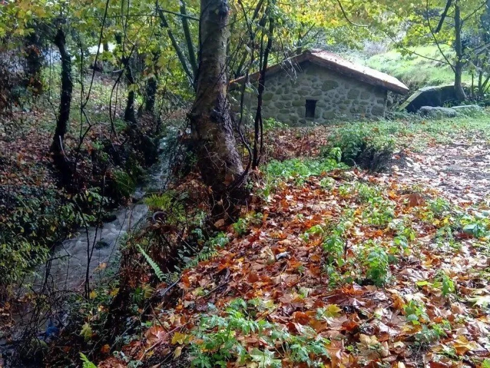 Moradia para Venda em Caçarilhe e Infesta Foto 8