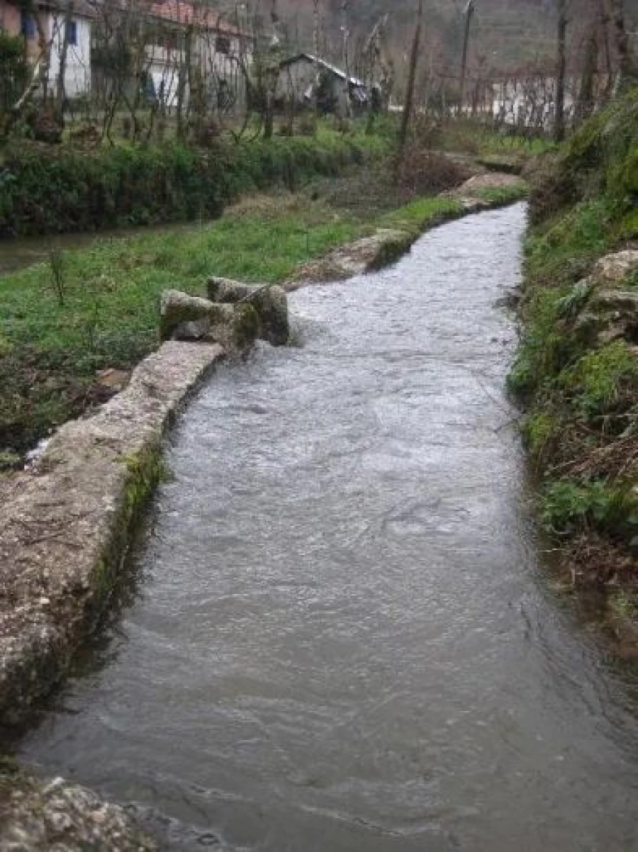 Moradia para Venda em Caçarilhe e Infesta Foto 4