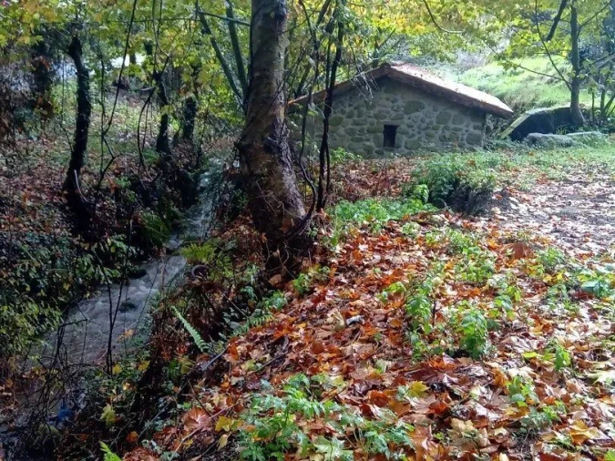 Moradia para Venda em Caçarilhe e Infesta Foto 8
