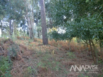 Terreno para Venda em Cavernães