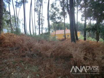Terreno para Venda em Cavernães