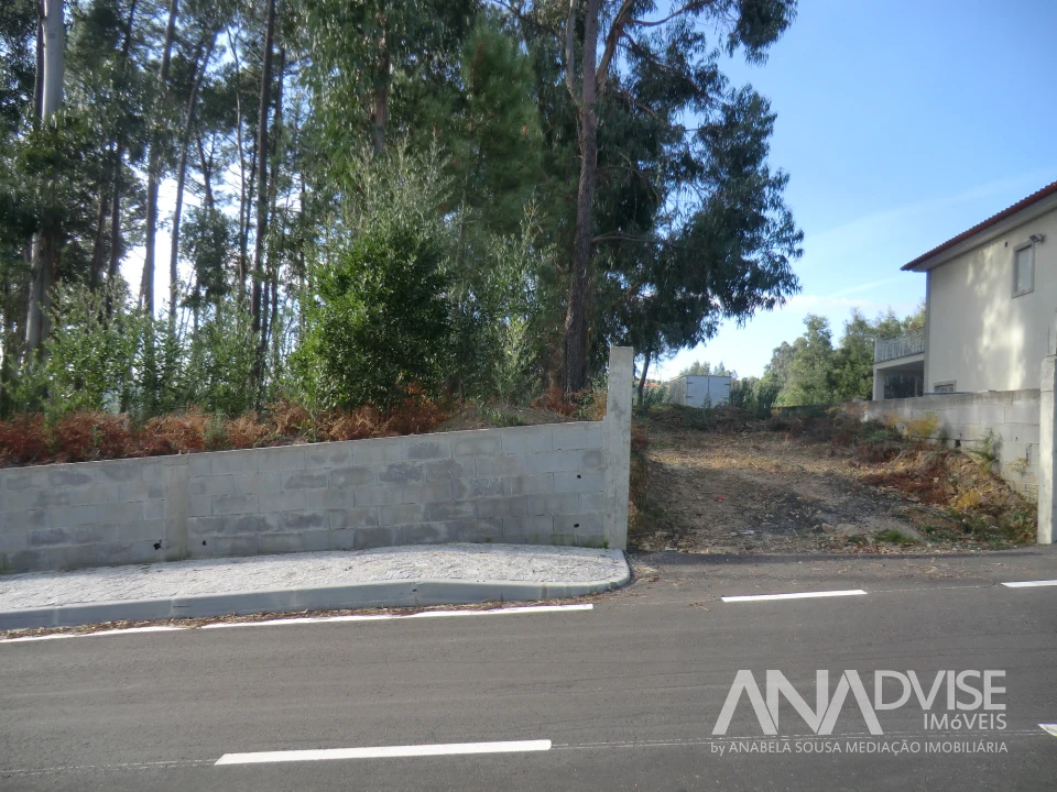Terreno para Venda em Cavernães Foto 1