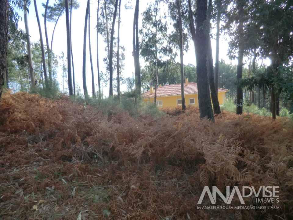 Terreno para Venda em Cavernães Foto 4
